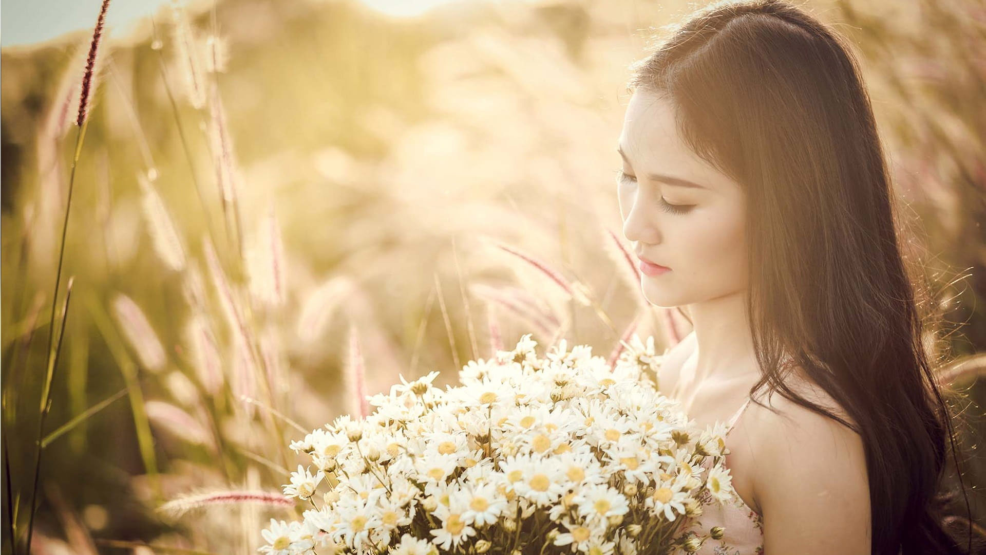 Woman holding white daisies wallpaper, asia, beauty, nice picture, girly, Asia, Empty