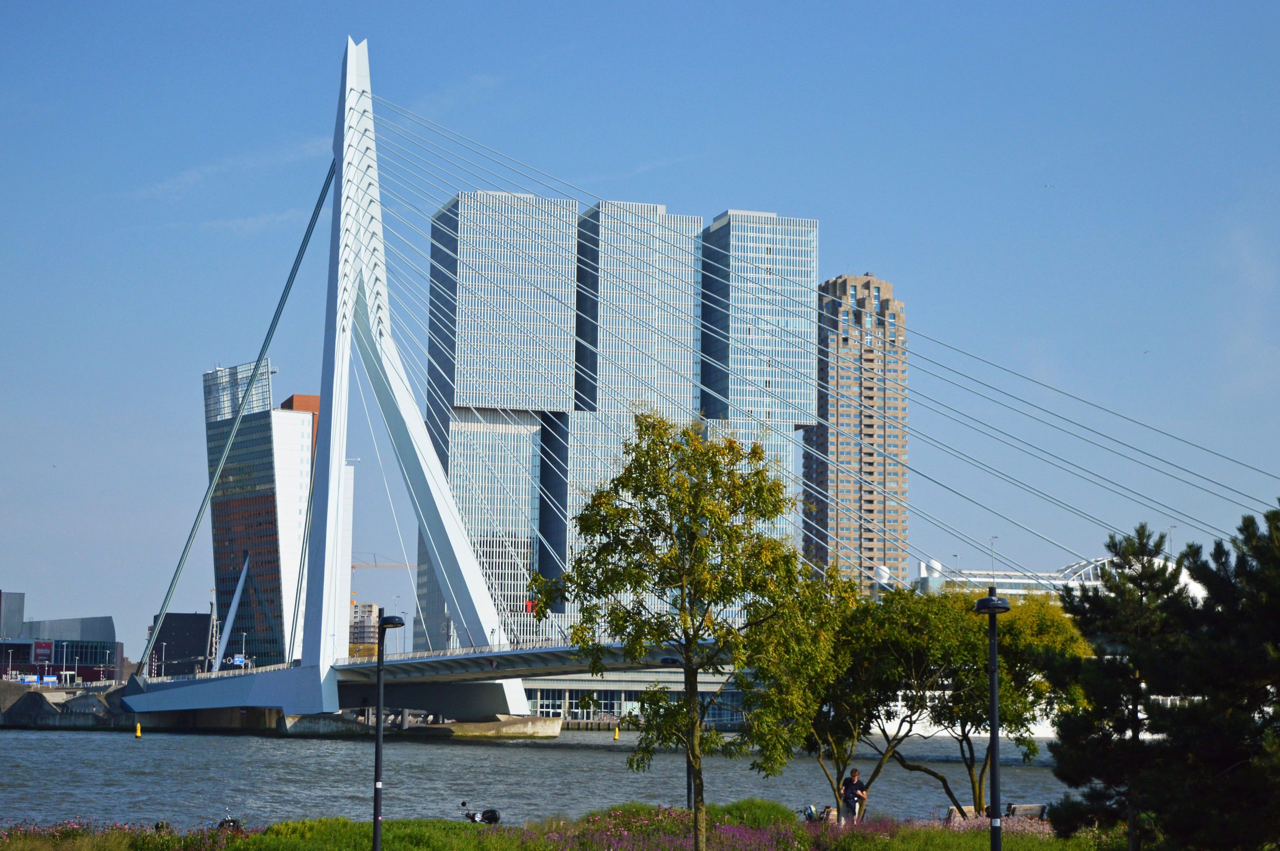 Rotterdam wallpaper, netherlands, nederland, holland, bridge, architecture
