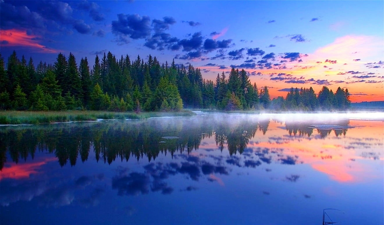 Body of water, morning, mist, Grand Teton National Park, forest