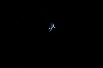 Astronaut, space, black background, flying, animal wildlife, mid-air