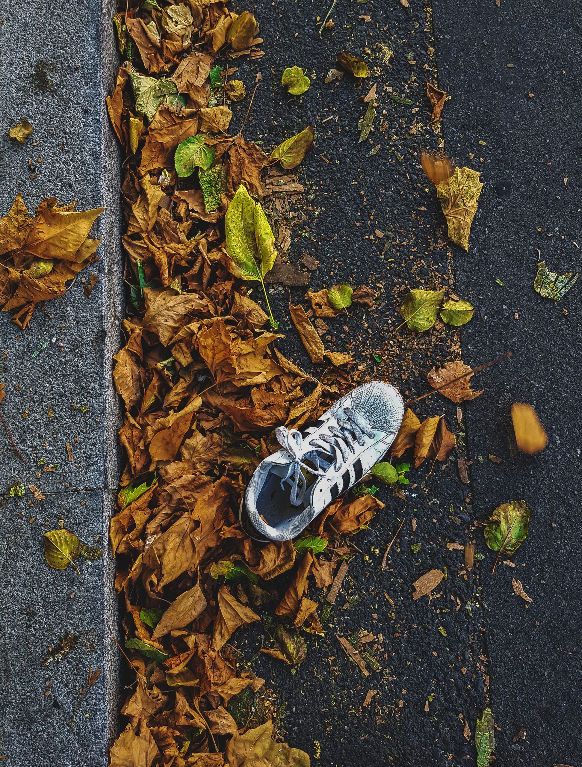 Apparel, clothing, footwear, plant, leaf, running shoe, ground