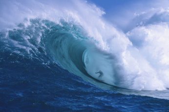Surfing HD wallpaper, sports