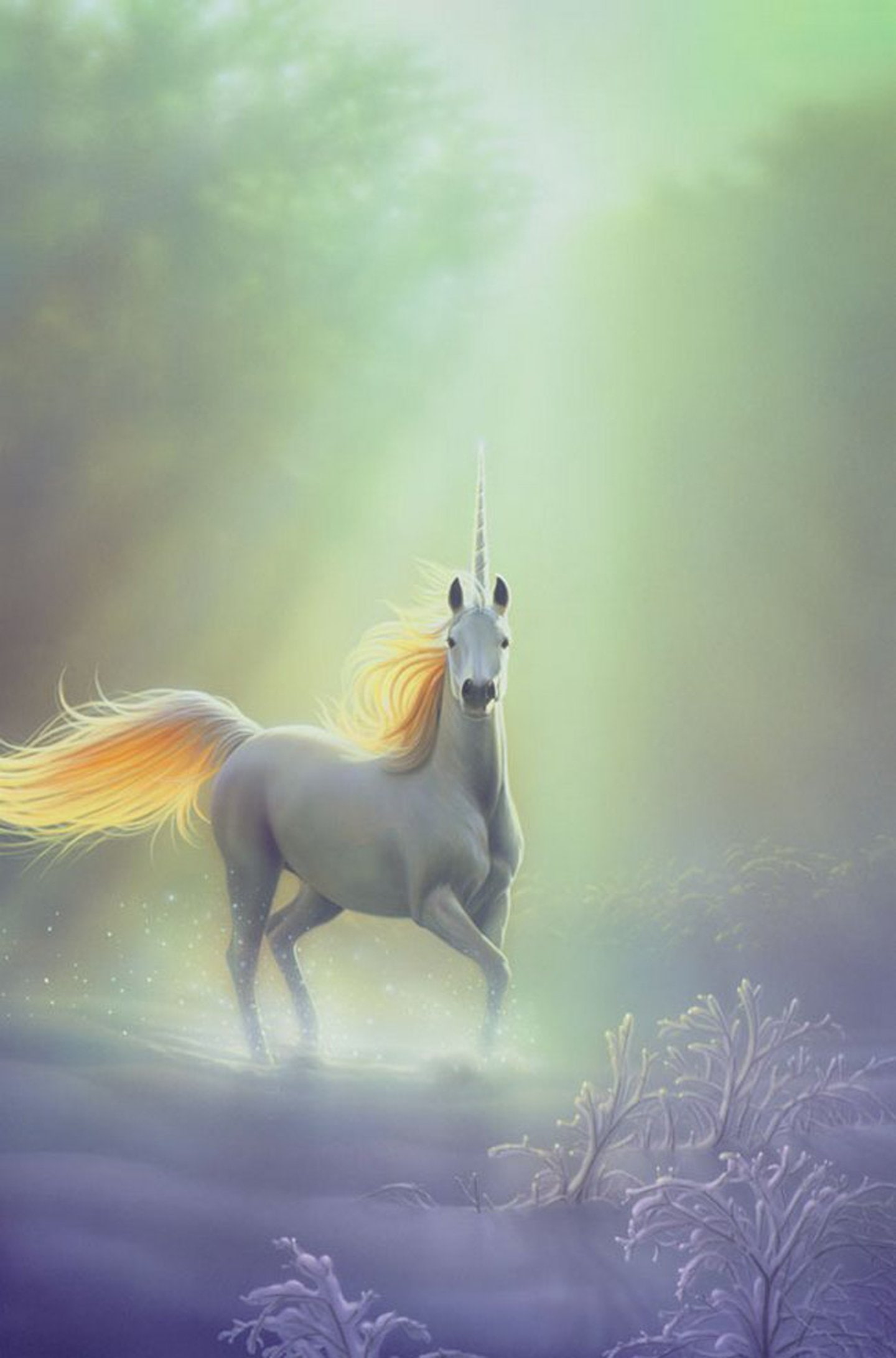 Fantasy, horse, pegasus, unicorn wallpaper