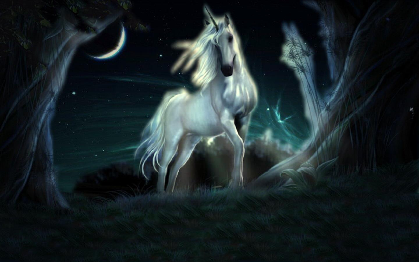 Fantasy Animals wallpaper, Unicorn