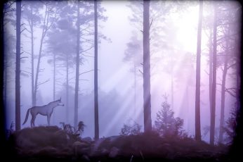 Unicorn in the middle of forest graphics art wallpaper, fairy tales, mythical creatures