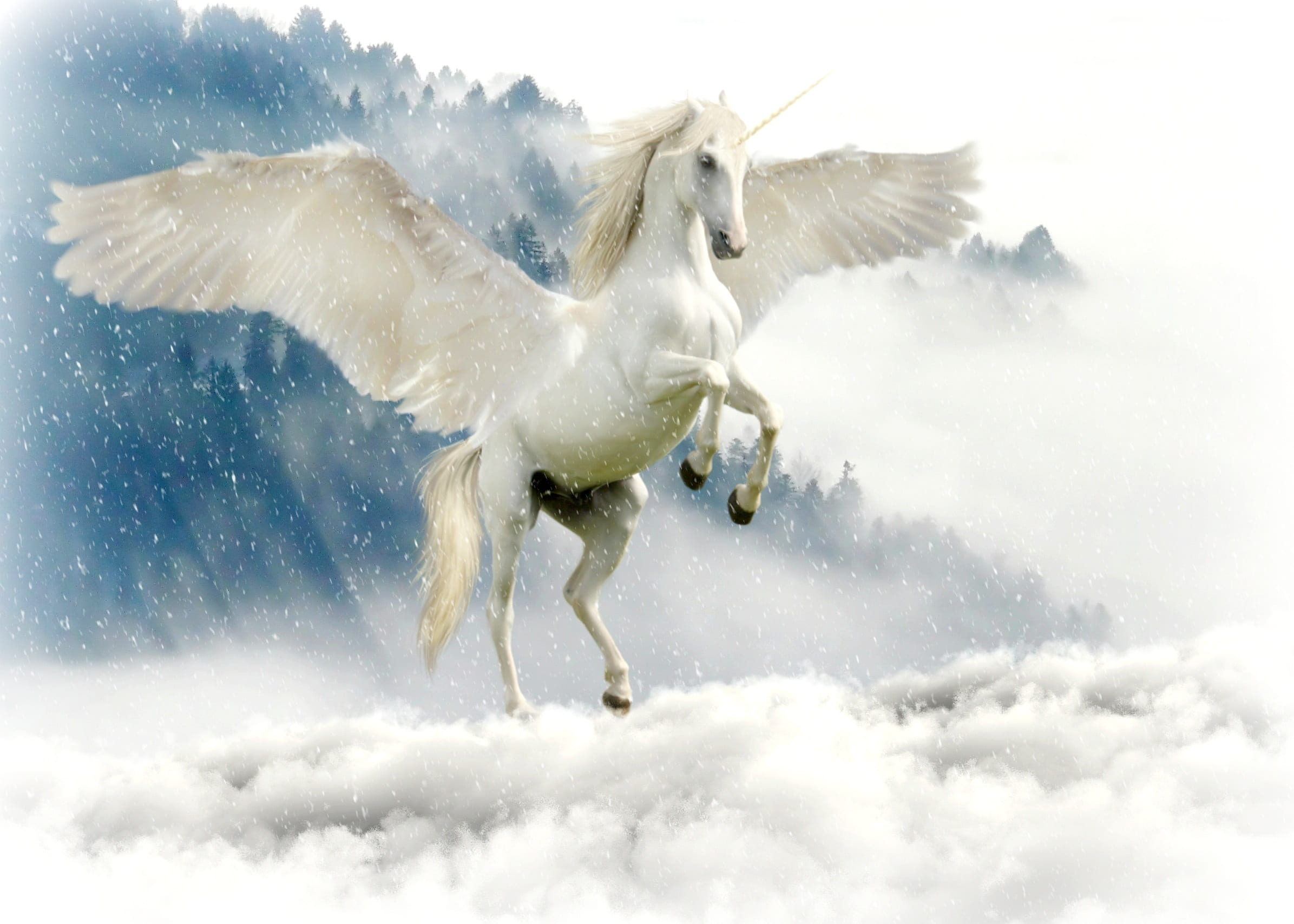 Pegasus above of cloudy sky, unicorn, mythical creatures, fairy tales