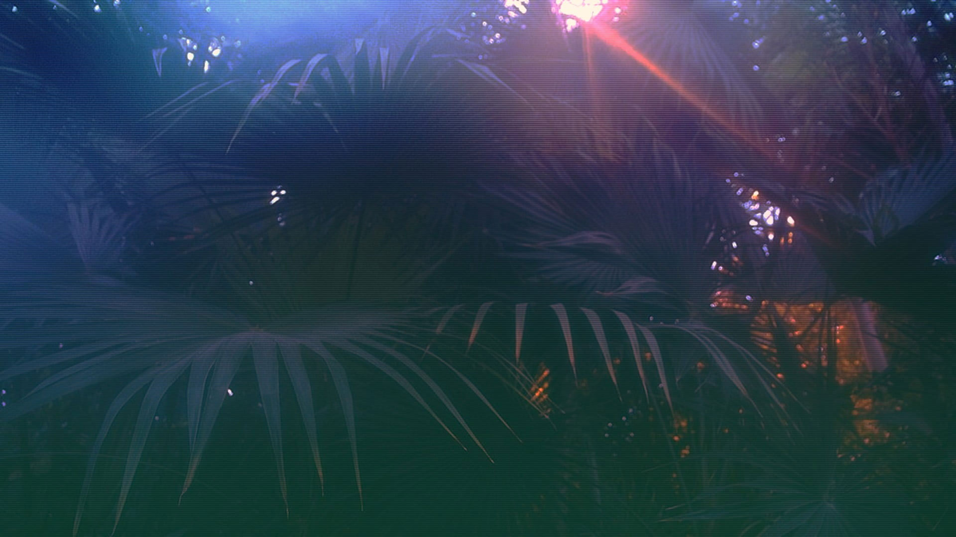 Green palm plant wallpaper, vaporwave, glitch art, growth, tree, beauty in nature