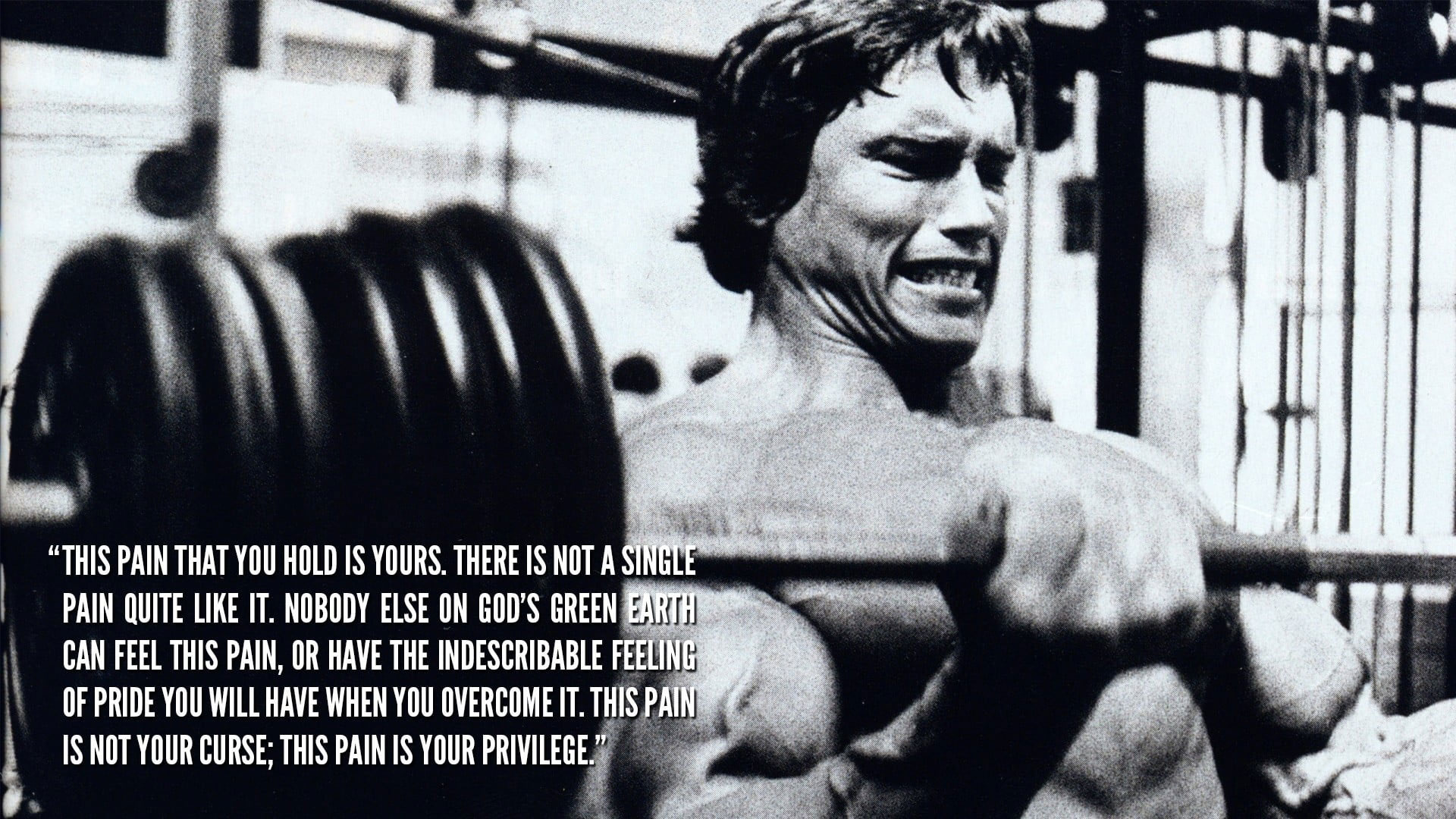 Arnold Schwarzenegger wallpaper, Bodybuilder, bodybuilding, motivational