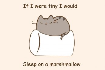 Gray cat cartoon wallpaper, humor, marshmallows, quote, pusheen, artwork