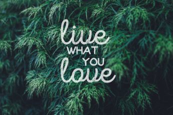 Live what you love sign wallpaper, quote, typography, text, plant, communication