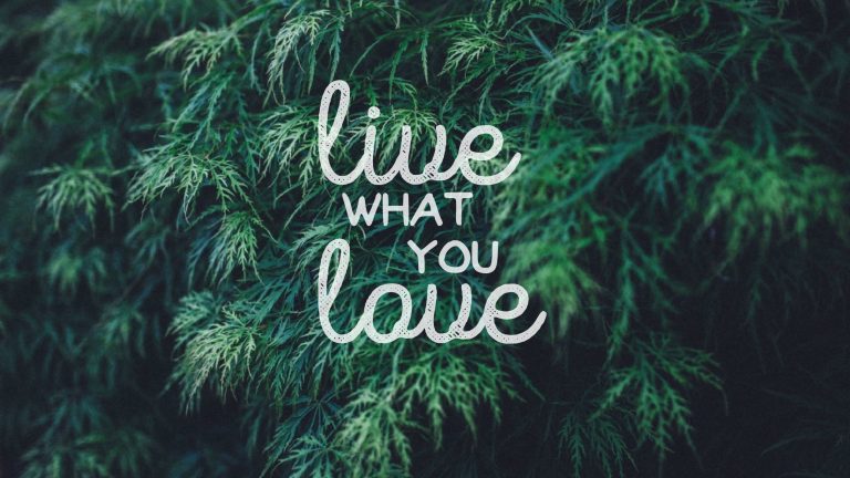 Live what you love sign wallpaper, quote, typography, text, plant
