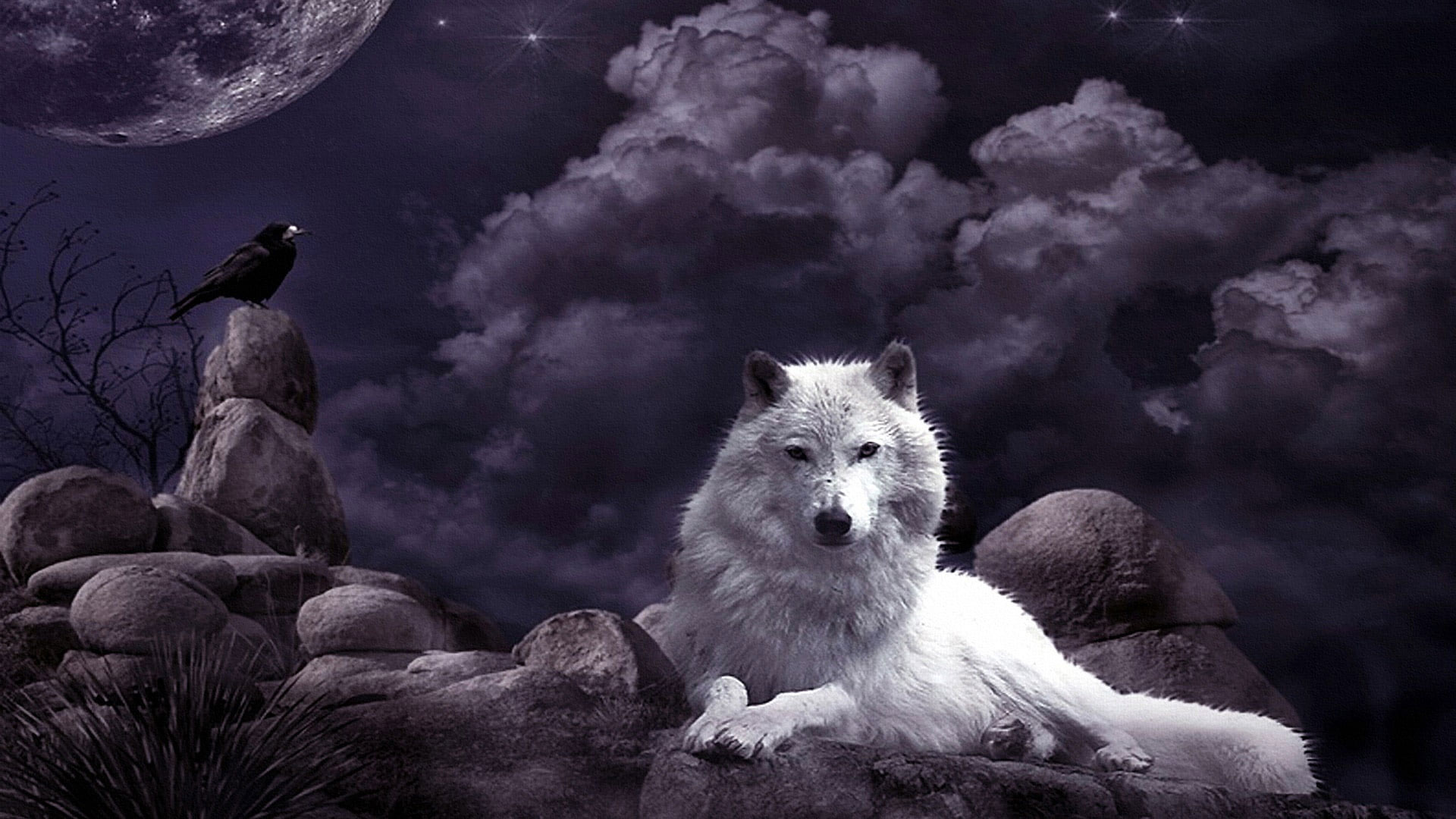 Wolf wallpaper, night sky, crow, moon, fantasy art, white wolf, mystic.