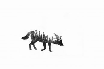 Black wolf illustration wallpaper, fantasy art, forest, animal, mammal
