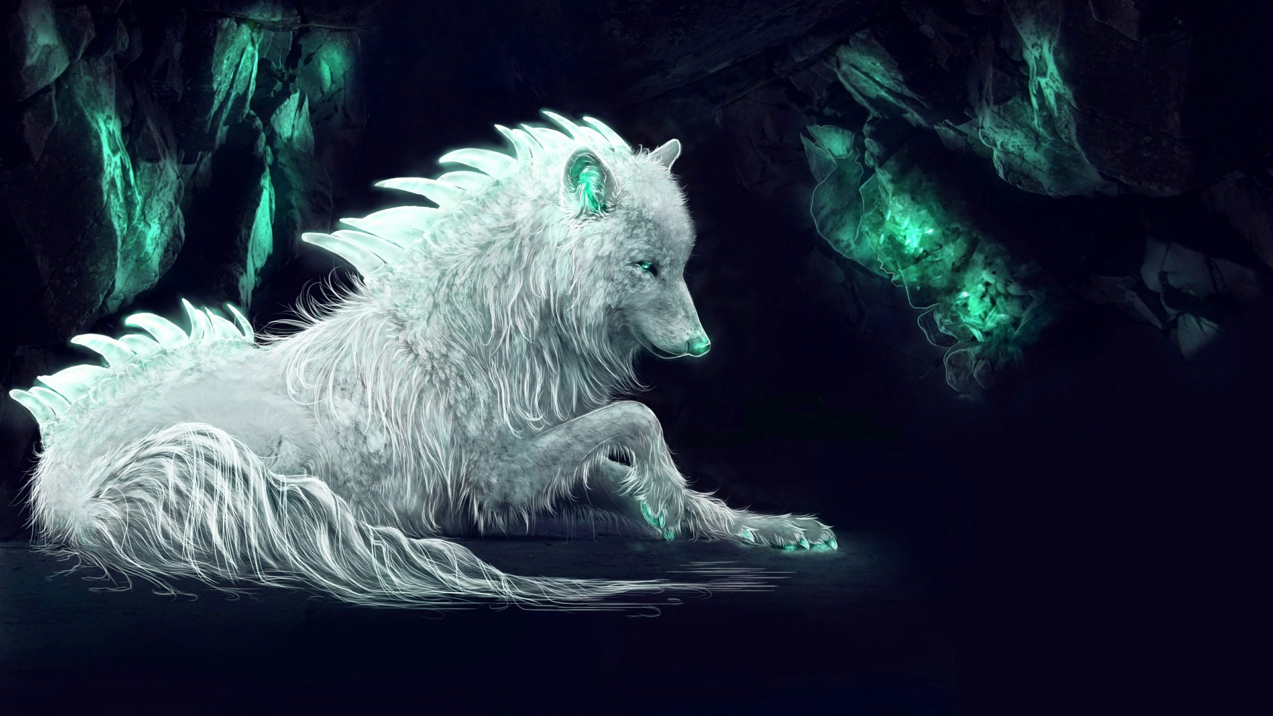 Darkness wallpaper, wolf, white wolf, fantasy art, imagination, mythical creature