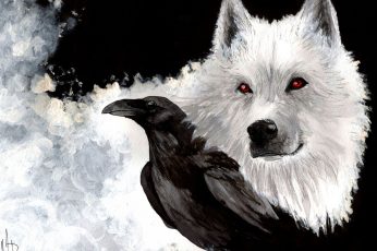 White and black wallpaper short-fur cat, fantasy art, birds, animals, wolf