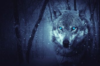 Wolf wallpaper, winter, fantasy, forest, snowing, wild animal