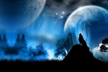 Silhouette photo of howling wolf wallpaper, animals, fantasy art, night