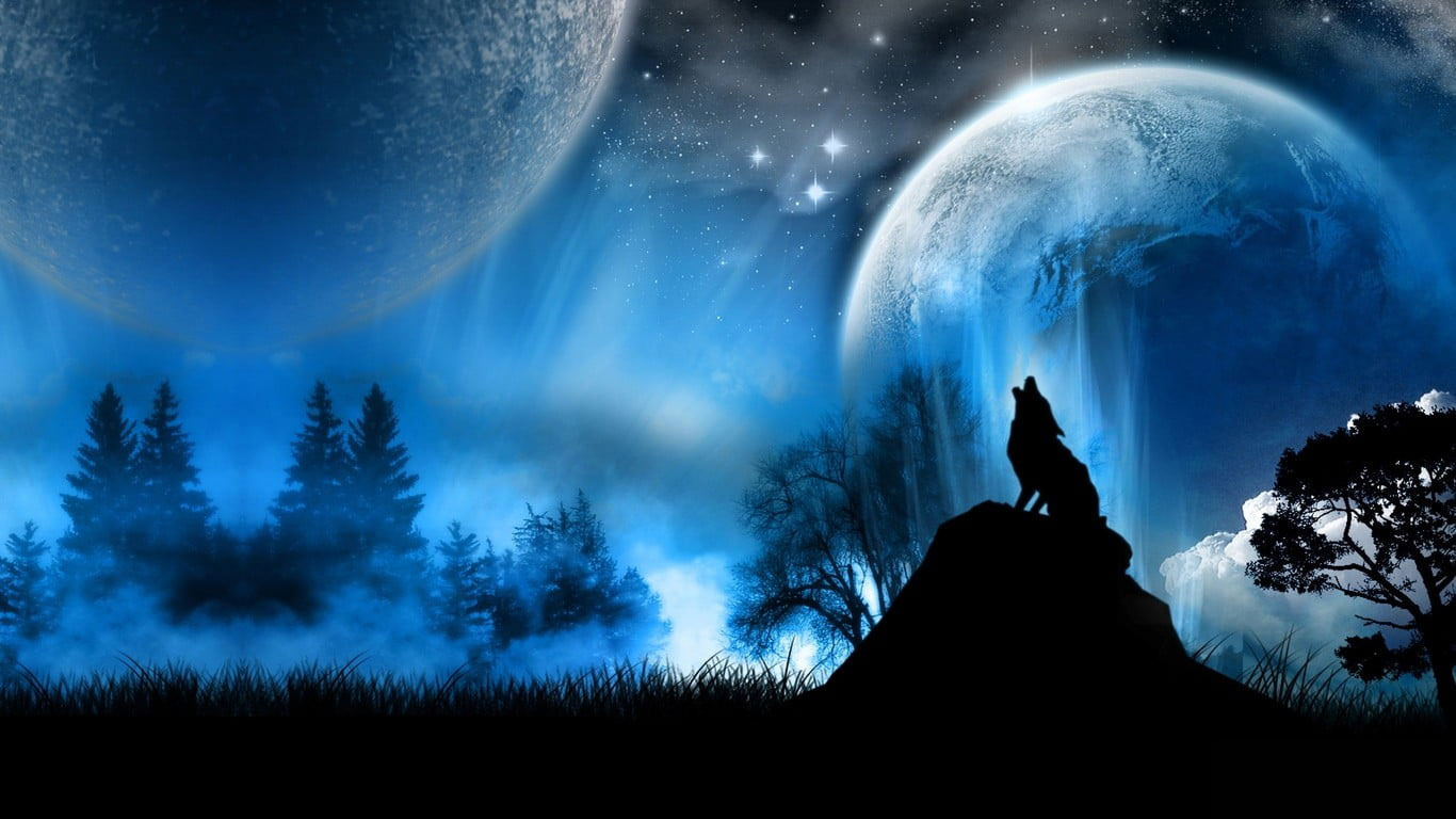 Silhouette photo of howling wolf wallpaper, animals, fantasy art, night