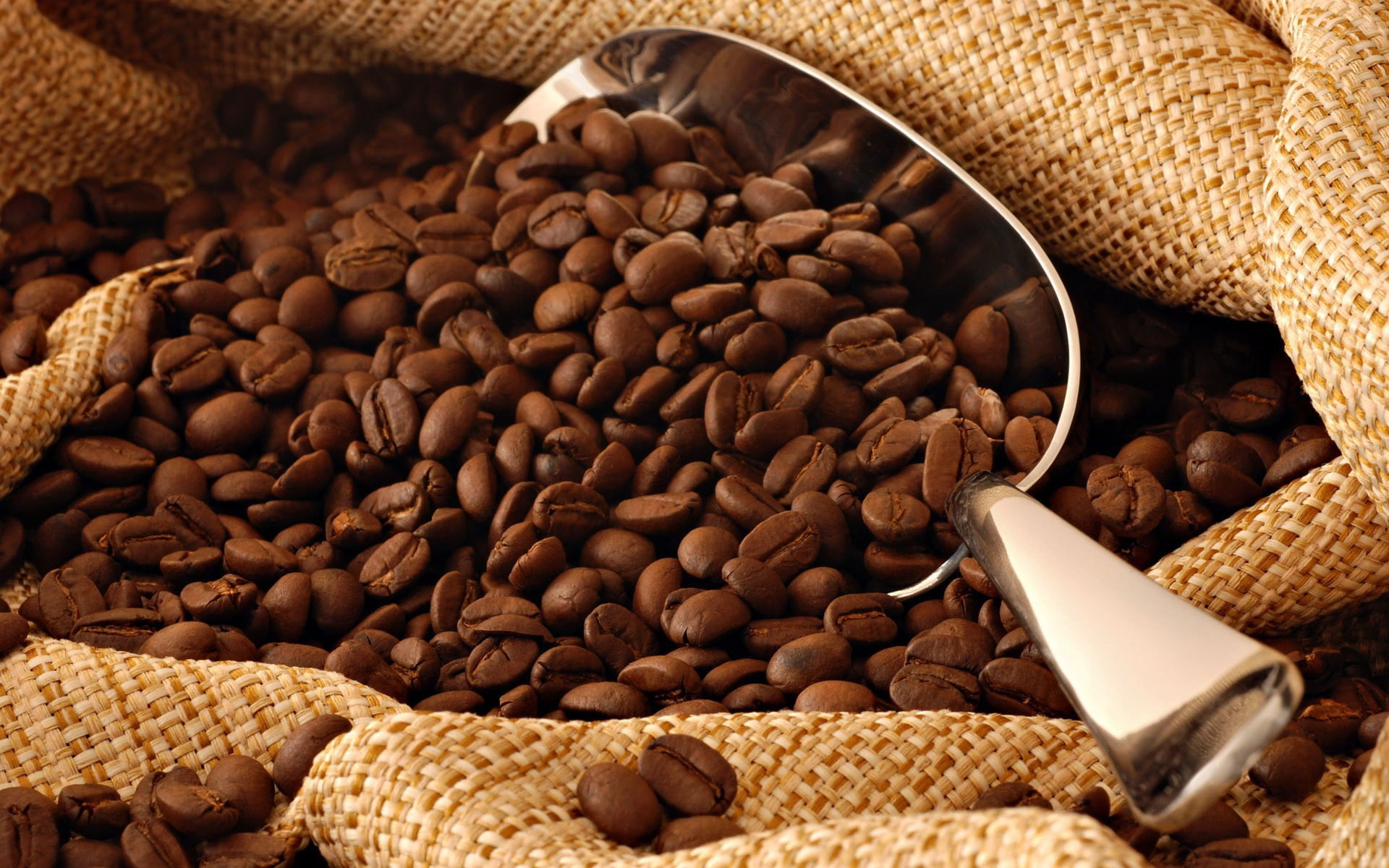 Coffee beans with gray metal scoop wallpaper, brown, texture, food and drink