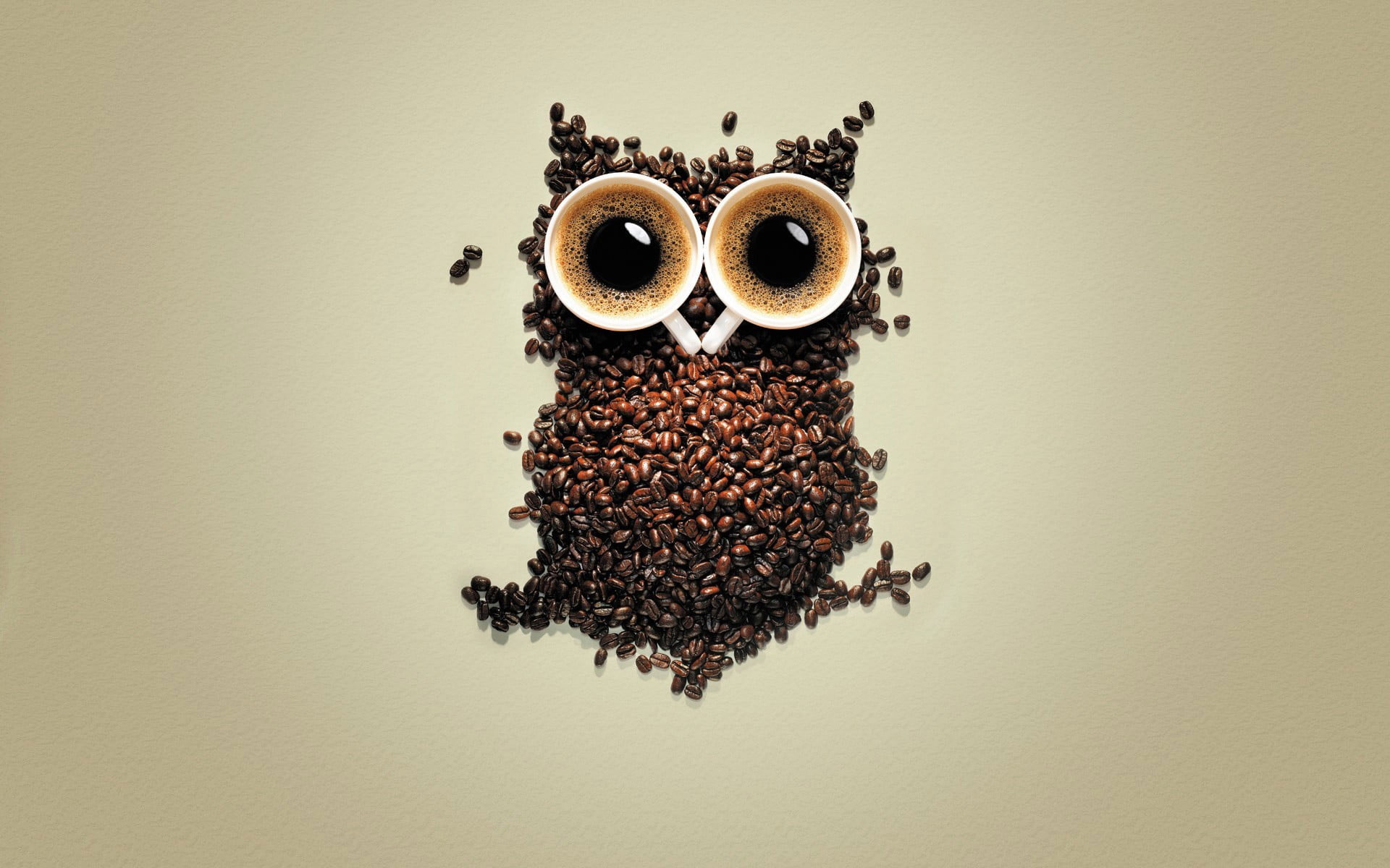 Coffee bean wallpaper, owl, coffee beans, creativity, birds, animals, simple background