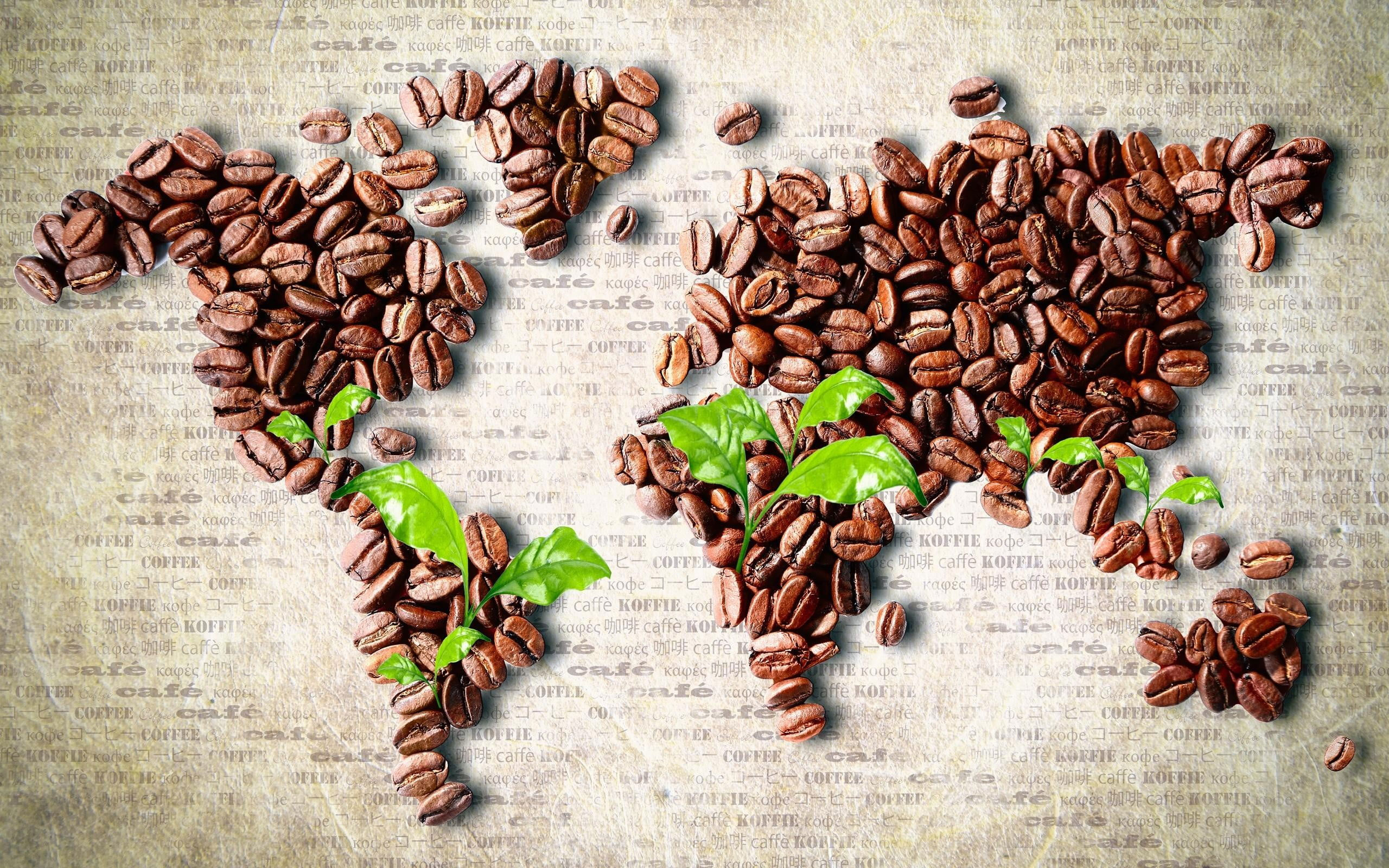 Coffee beans world map artwork wallpaper, leaves, food and drink, large group of objects