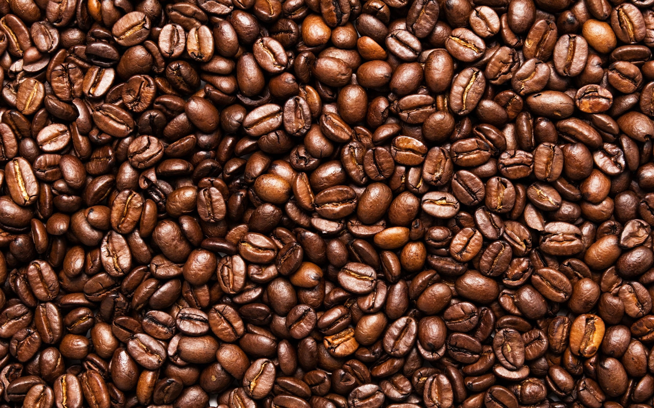 Toasted coffee beans wallpaper, seeds, coffee beans