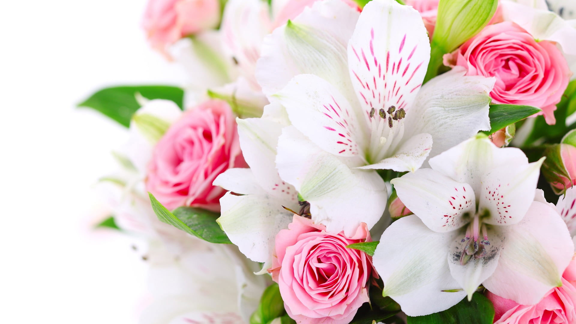 Bouquet wallpaper, pink, rose, flower, floral, flowers, blossom, petal