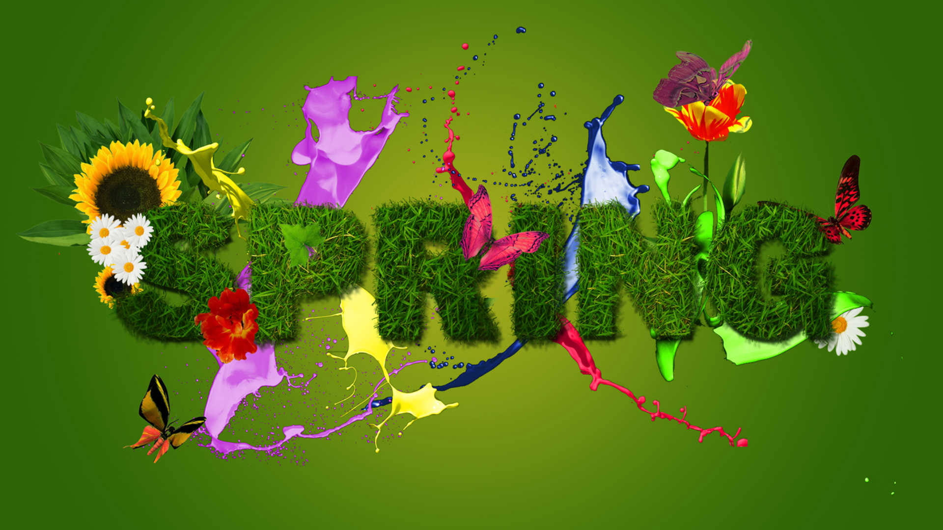 Flower wallpaper, plant, leaf, decoration, spring, season, design, summer