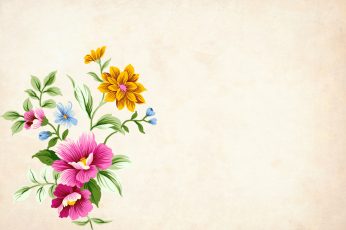 Flowers with copyspace wallpaper, background, floral, border, garden frame