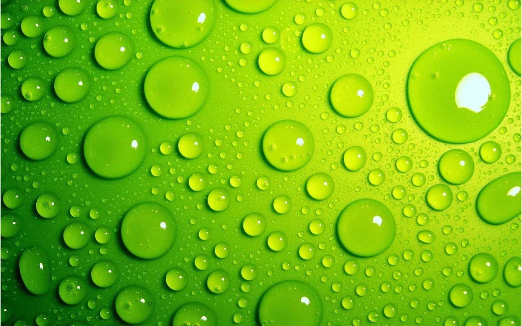 Water drops wallpaper, macro, green, wet, green color, close-up, backgrounds