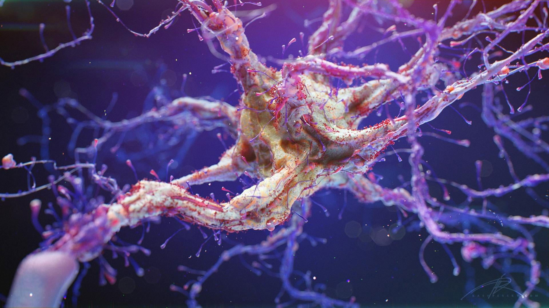 Neuron wallpaper, synapse, science, macro, organic, microworld, human