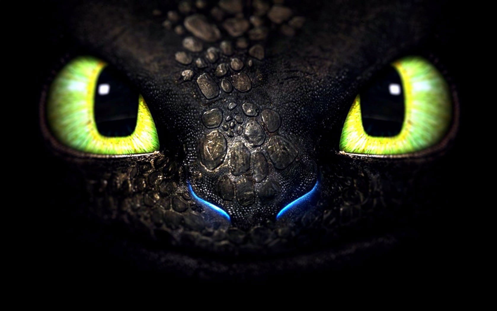 How to train your dragon Toothless digital wallpaper, animal themes