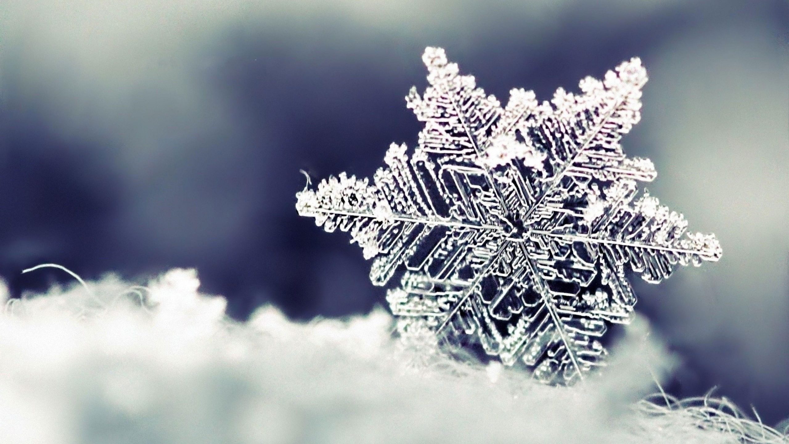Snowflake wallpaper, winter, frost, freezing, macro photography, close up