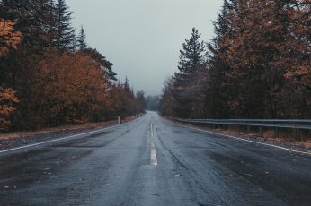 Landscape wallpaper, road, trees, fall, rain, wet, asphalt