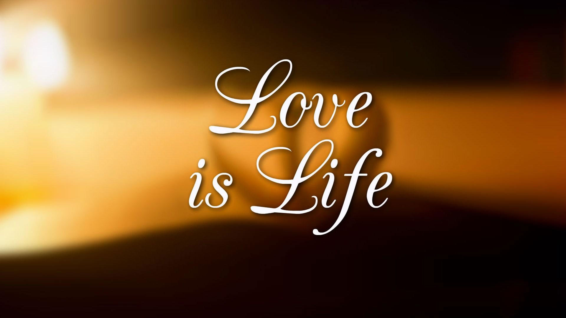 Love is life wallpaper, quote