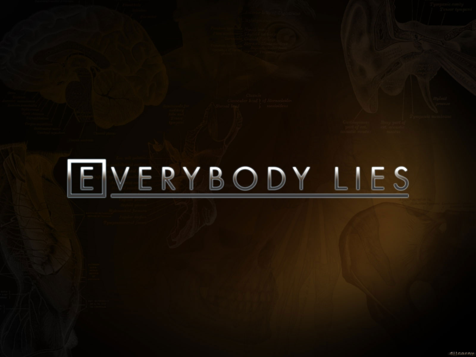 Quotes everybody lies house md wallpaper, House M.D.