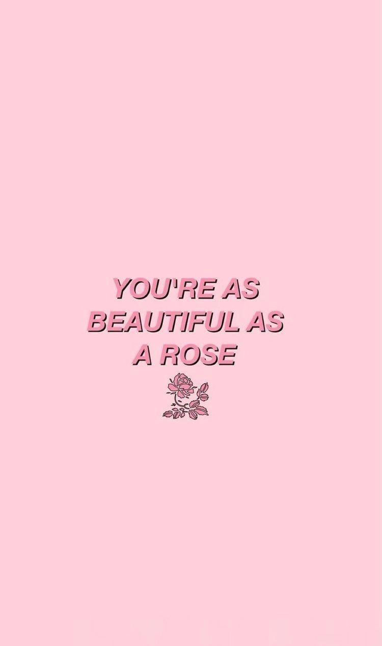 You're as beautiful as a rose Wallpapers