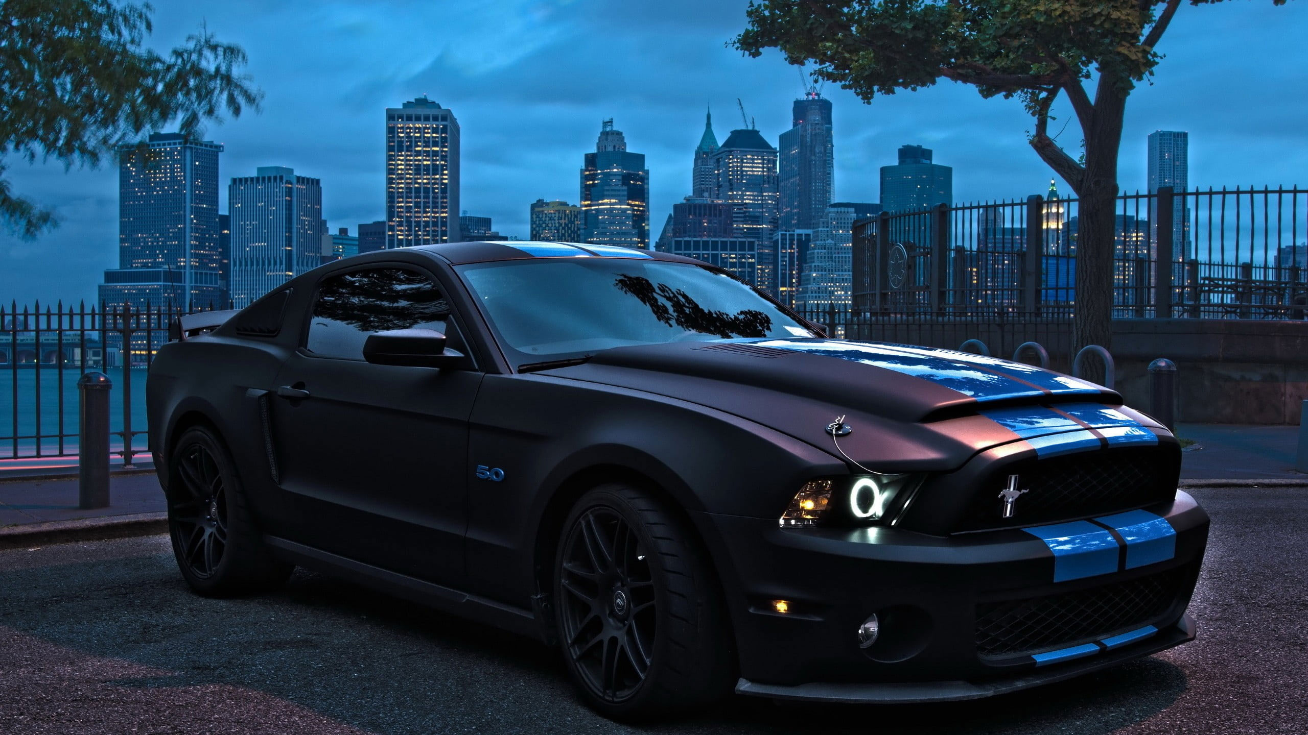 Wallpaper Black Ford Mustang, Car, Muscle Cars, Luxury • Wallpaper For