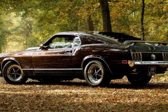 Wallpaper Brown Ford Mustang Coupe, Muscle Cars