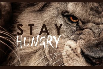 Wallpaper Brown Lion With Text Overlay, Motivational