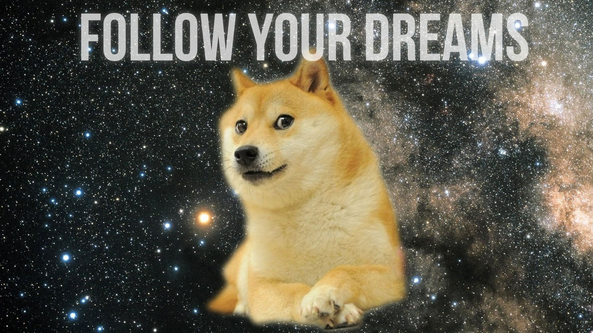 Wallpaper Doge With Text Overlay, Inspirational, Animals