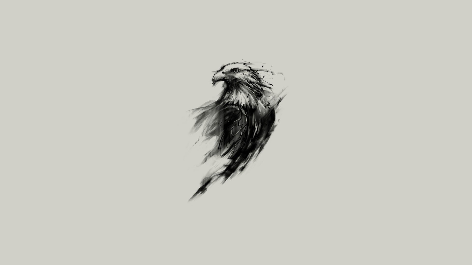 Wallpaper Eagle Sketch, Bald Eagle, Birds, Simple Background