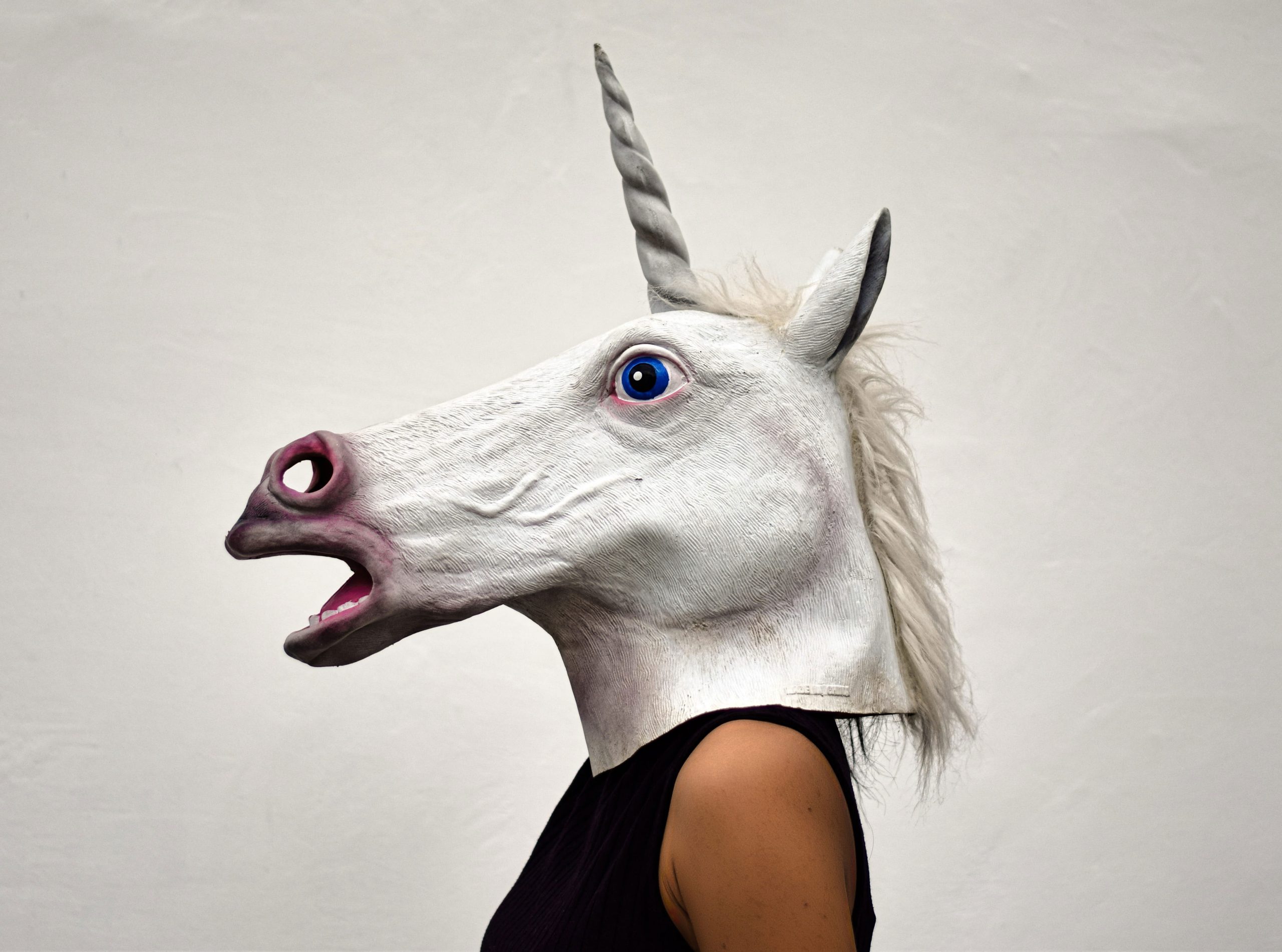 Wallpaper White Unicorn Mask, Animal, Mammal, Cute