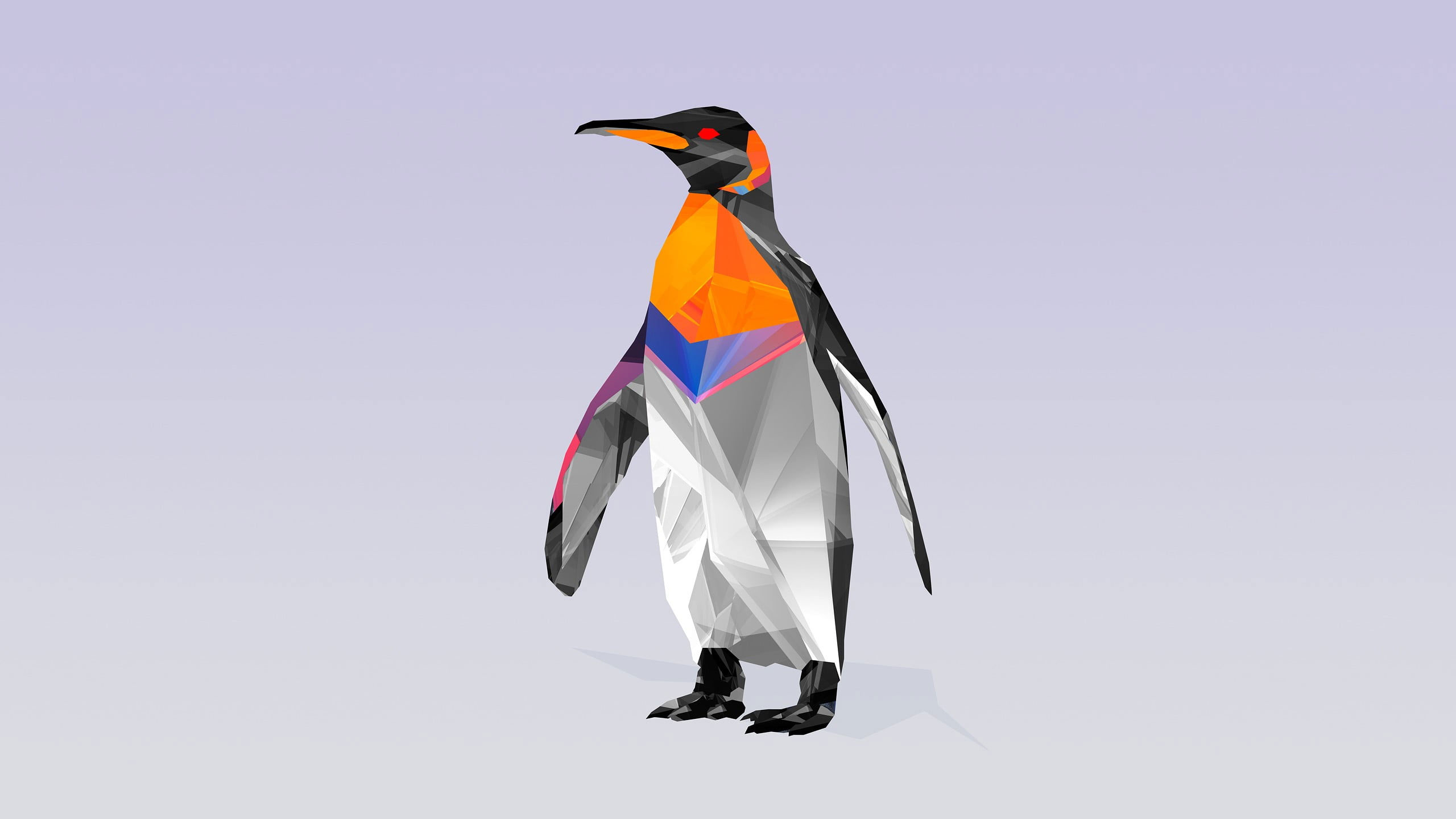 Black, and white penguin digital wallpaper, Facets, animals