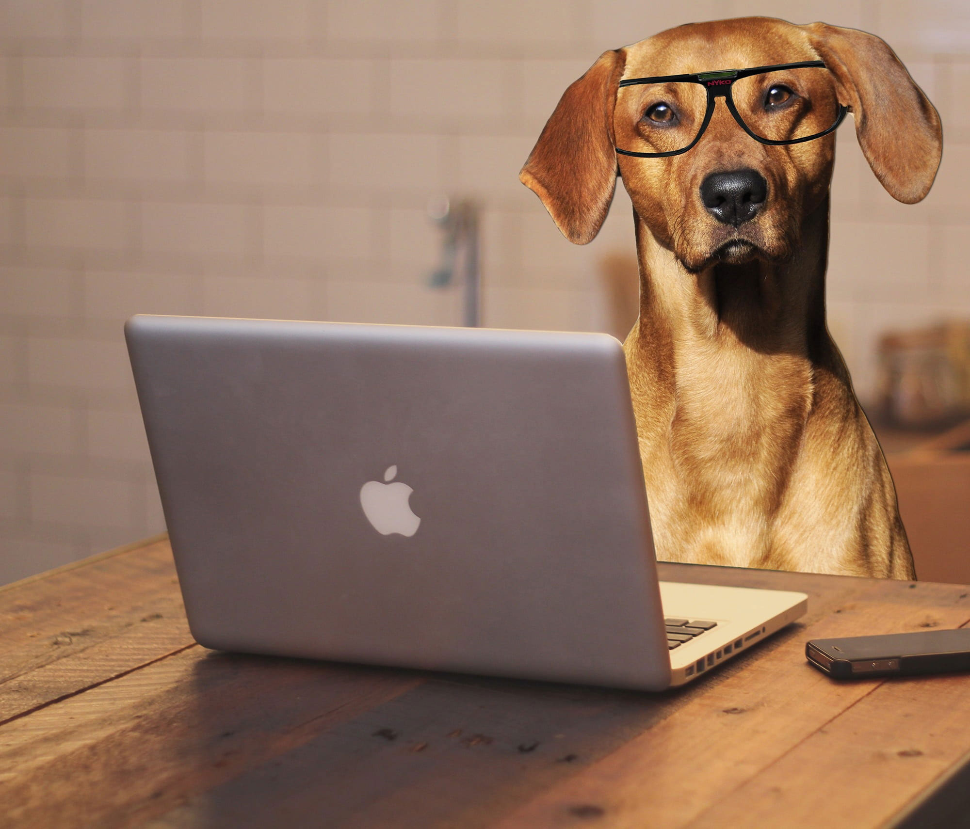 Wallpaper Brown Coated Dog In Front Of Macbook Pro, Laptop