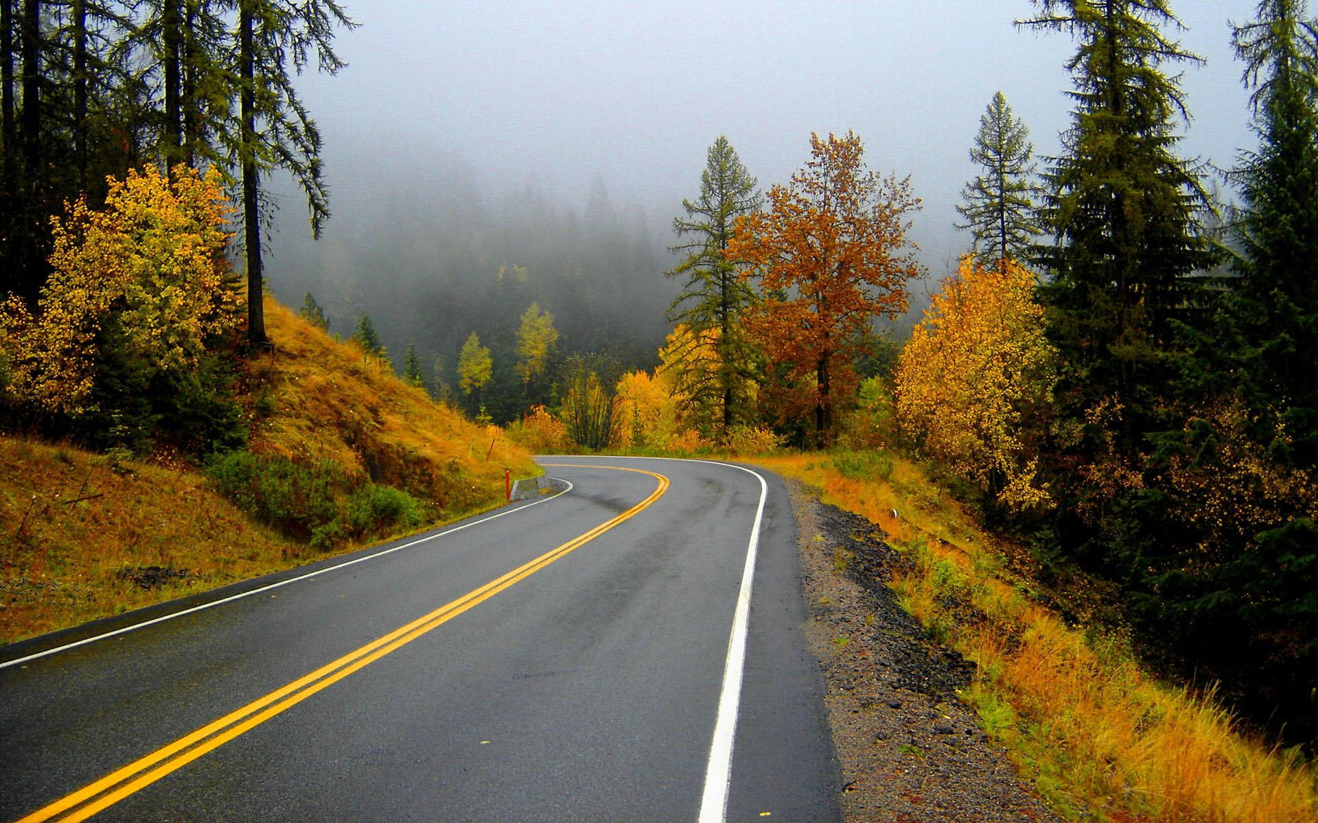 Wallpaper Autumn Road Trip, Trees, Forest, Fall, Roads
