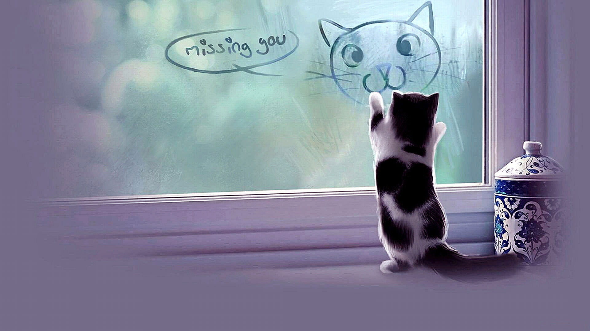 Wallpaper Cat, Kitten, Window, Fog, Miss You, Missing You