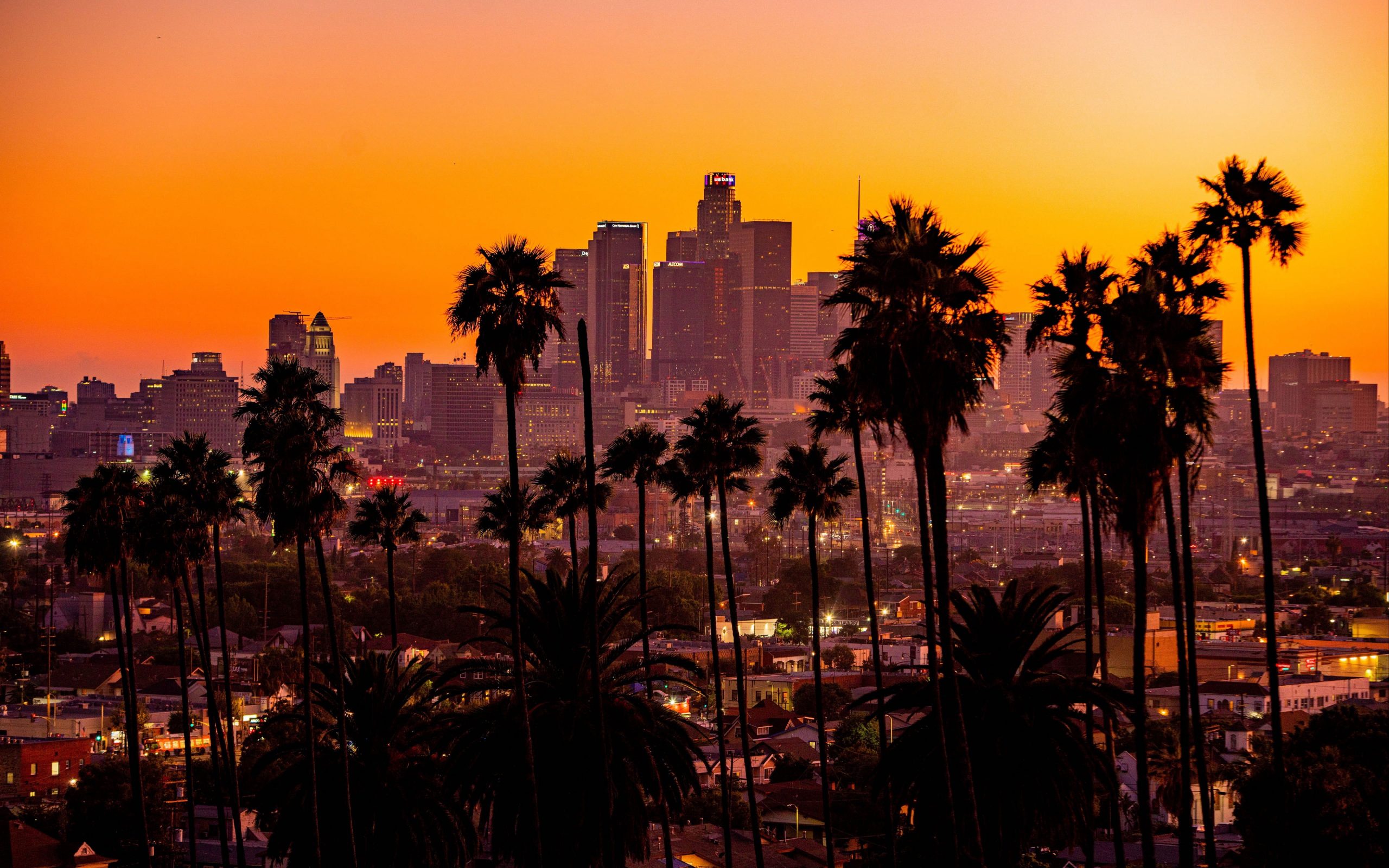 Wallpaper City, Sunset, California, Palm Trees, Los Angeles