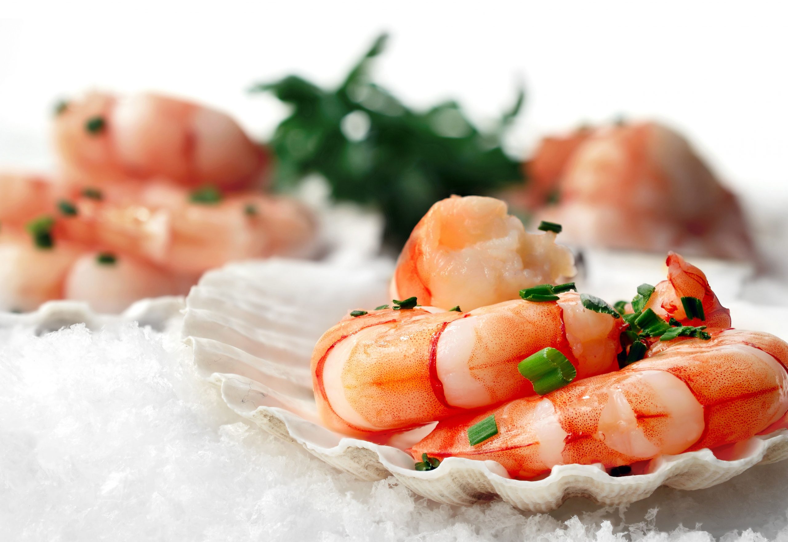 Wallpaper Cooked Shrimp, Food, Food And Drink, Healthy Eat