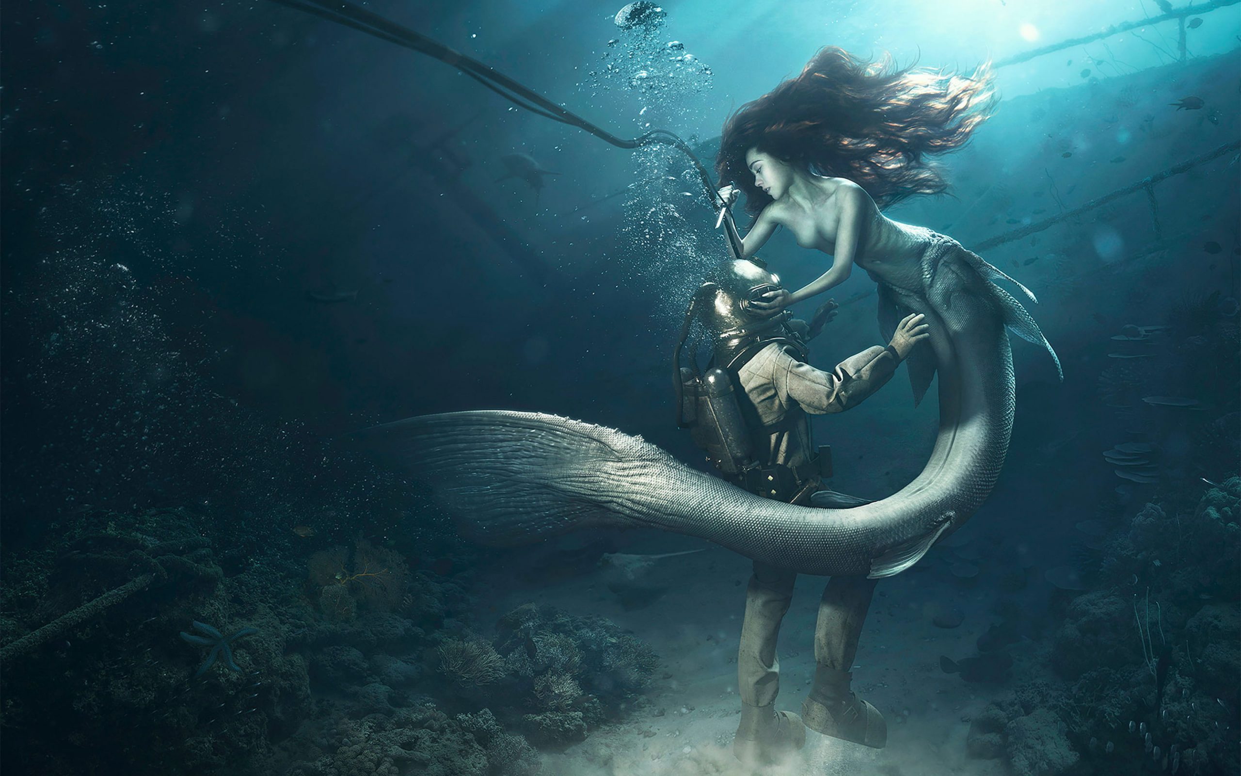 Wallpaper Diver The Mermaid